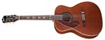 HELLCAT Tim ARMSTRONG FENDER