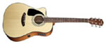CD 100CE LH GAUCHER FENDER