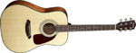 CD140S NATUREL FENDER