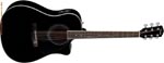 CD 140 SCE BLACK FENDER