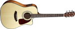CD 140 SCE NATUREL FENDER