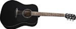 CD 60 BLACK FENDER