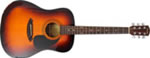 CD 60 SUNBURST FENDER