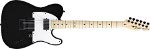 TELECASTER JIM ROOT SIGNATURE FENDER