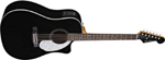SONORAN SCE BLACK FENDER
