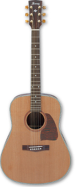 GUITARE ACOUSTIQUE AW 15 LG
