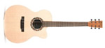 XC1TE ELLIPSE MARTIN