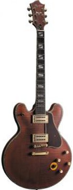 GUITARE ELECTRIQUE FIREFOX CUSTOM AVEC ETUI