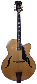 GUITARE ELECTRIQUE NEW YORK AVEC ETUI