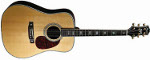 PD75 Acoustic PEERLESS