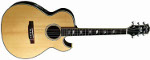 GUITARE ACOUSTIQUE PGA60CE PEERLESS