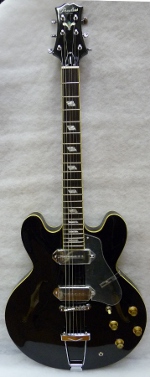 GUITARE ELECTRIQUE SONGBIRD NOIRE AVEC ETUI