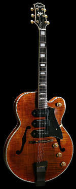 GUITARE ELECTRIQUE WIZARD CUSTOM AVEC ETUI