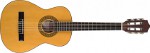 C505 1/4 STAGG