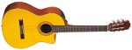 EG124C TAKAMINE