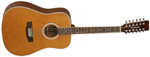 TW28/12CLN ACOUSTIQUE 12 CORDES TANGLEWOOD
