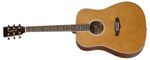 TW28CLN GAUCHER TANGLEWOOD