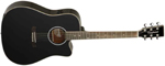 TW28SLBKCE black TANGLEWOOD