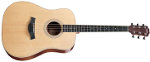 DN3 DREADNOUGHT TAYLOR