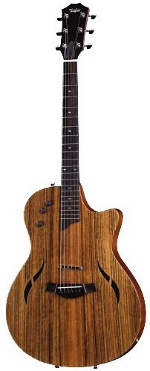 TAYLOR T5X