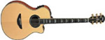 APX 900 NT NATURELLE YAMAHA