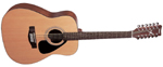 FG413S12 12 cordes YAMAHA