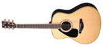 LL 16 GAUCHER YAMAHA